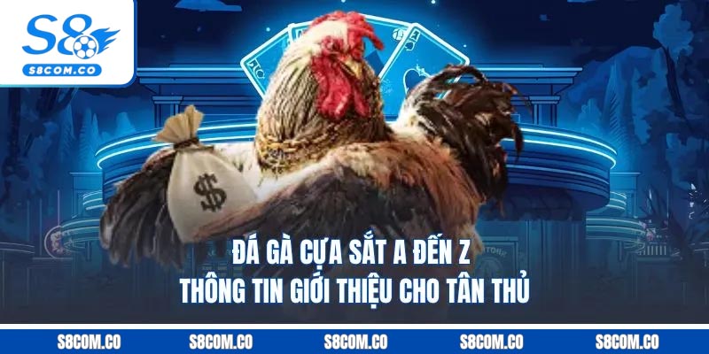 Đá Gà Cựa Sắt | A Đến Z Thông Tin Giới Thiệu Cho Tân Thủ Đá Gà Cựa Sắt | A Đến Z Thông Tin Giới Thiệu Cho Tân Thủ